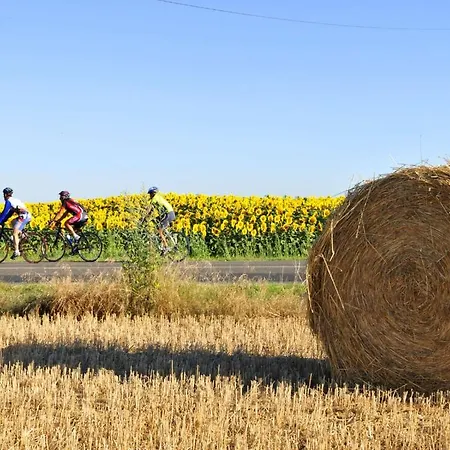 Azureva Vendee Ocean شقة فندقية 3*