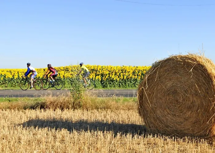 Azureva Vendee Ocean Appart hôtel 3*